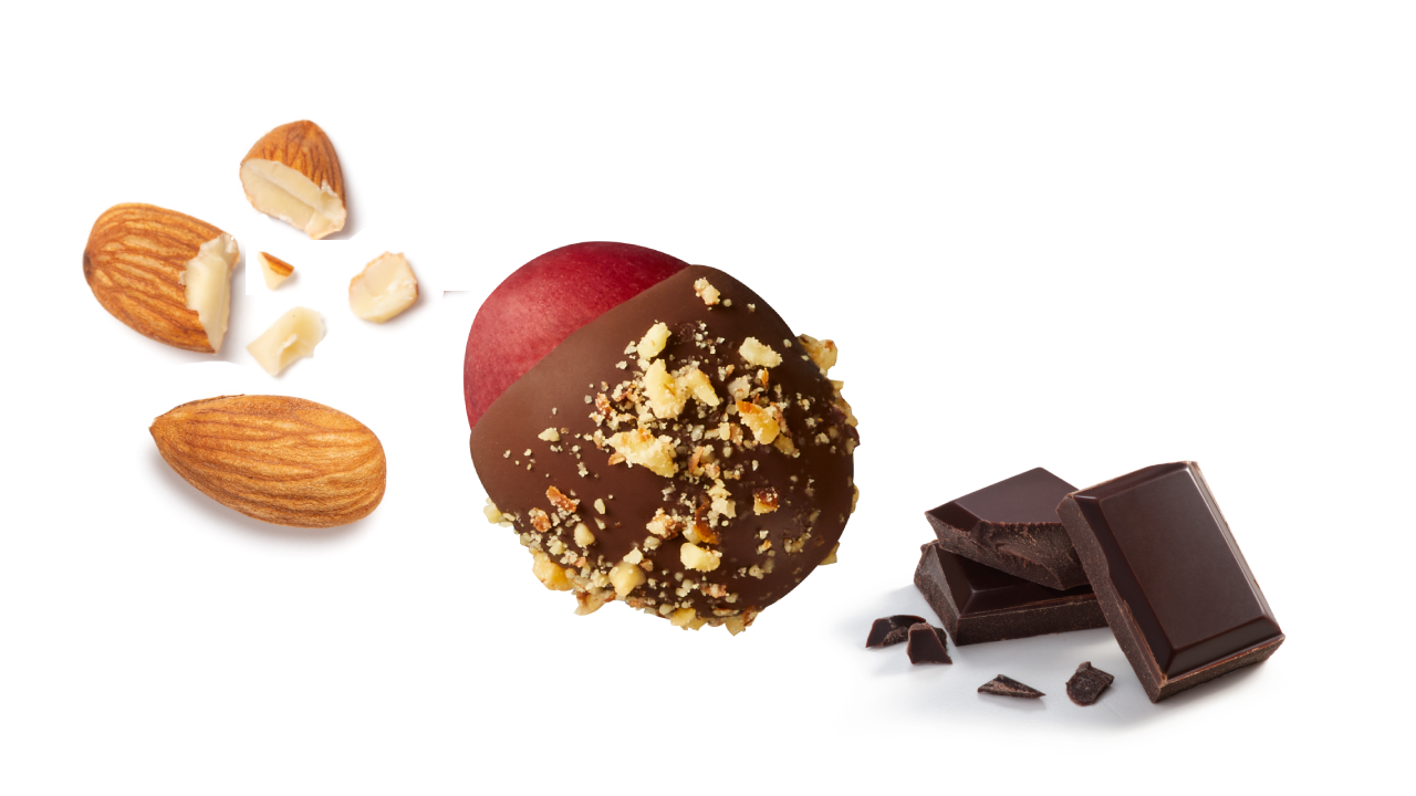 Dark Chocolate + Almond